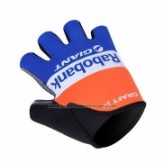 2012 Rabobank Handschuhe Radfahren